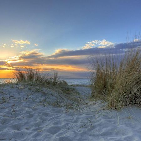 Apartmán Urlaub Im Wintergarten Rostock-Lichtenhagen-Dorf Exteriér fotografie