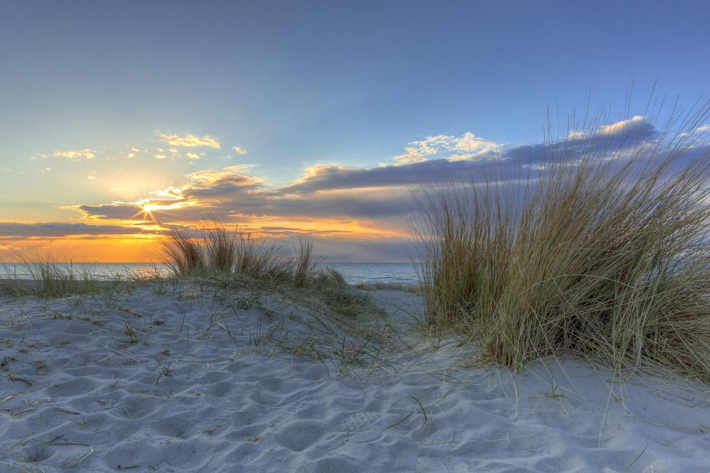 Apartmán Urlaub Im Wintergarten Rostock-Lichtenhagen-Dorf Exteriér fotografie